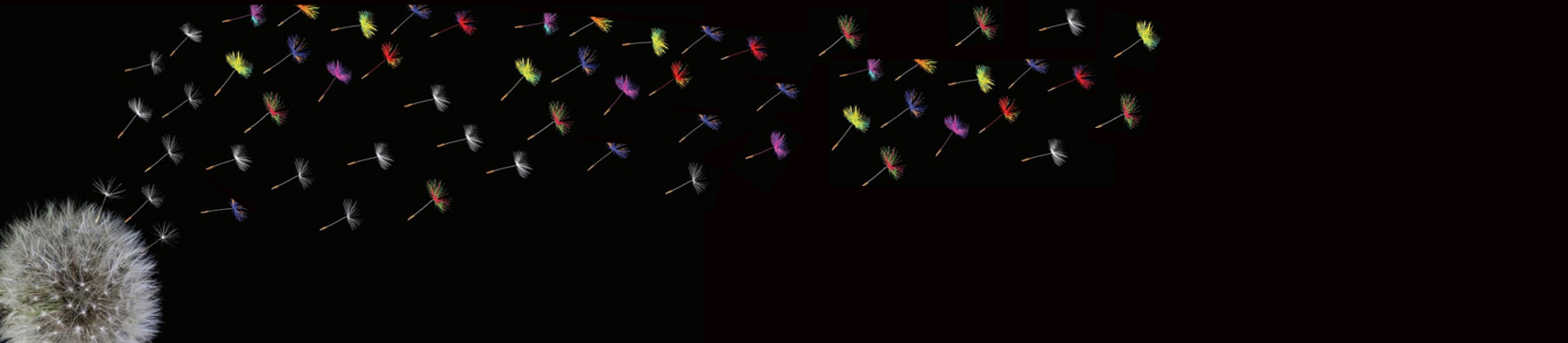 Սփյուռքի ուսումնասիրության բաժին