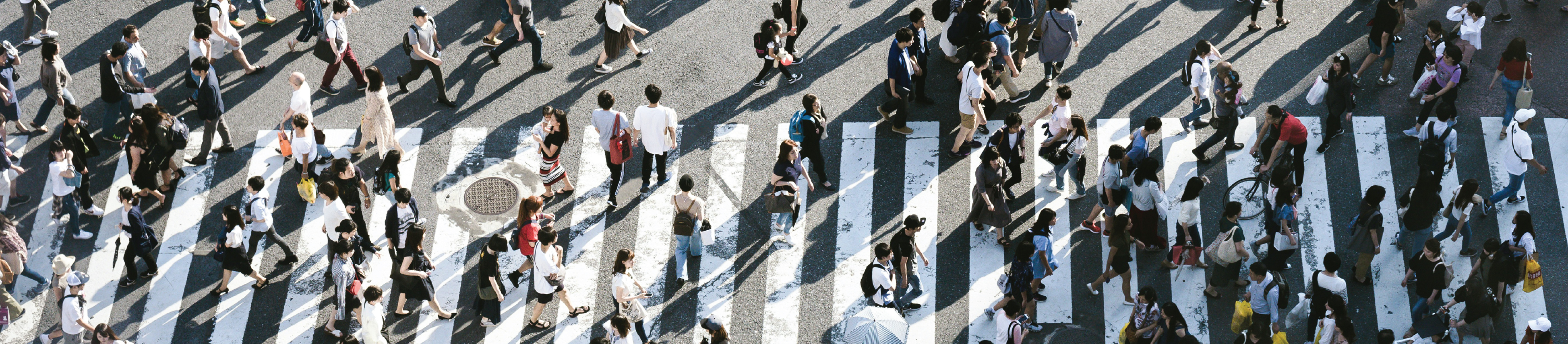 Սոցիալական գործընթացների և ինստիտուտների մարդաբանության բաժին