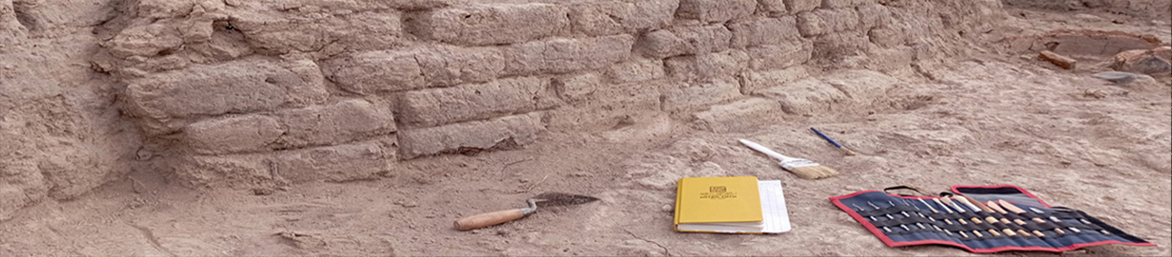 Վաղ հնագիտության բաժին